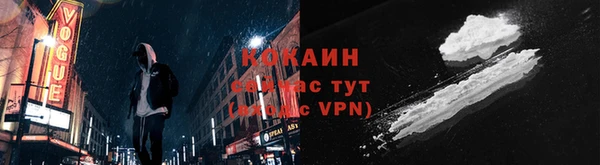 мдпв Тобольск