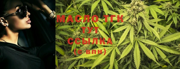 мдпв Тобольск
