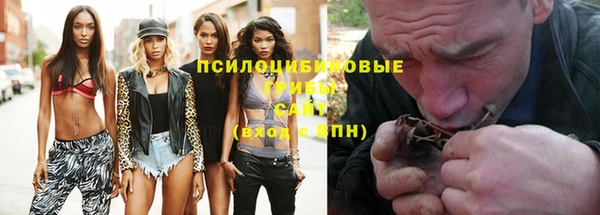мдпв Тобольск